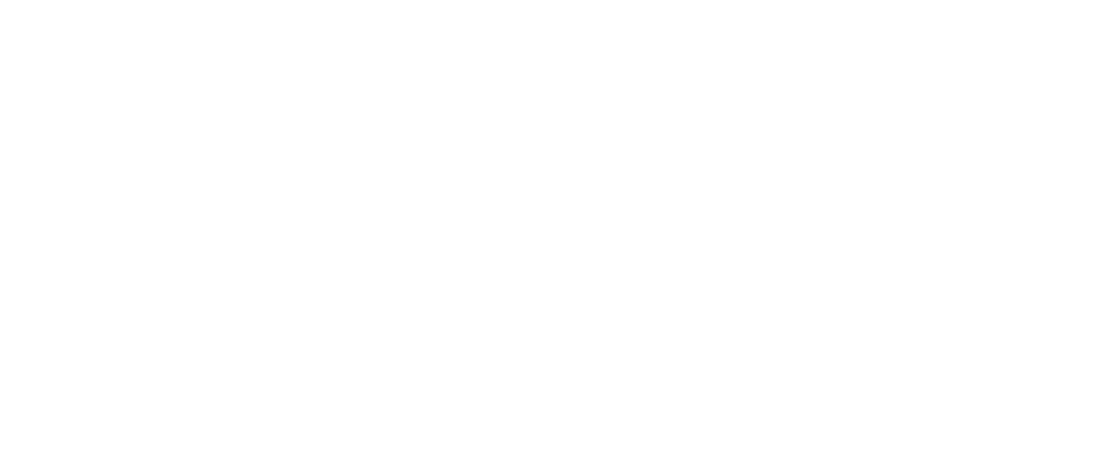 The Fitness Consultancy